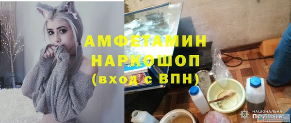 молекула духа Покровск
