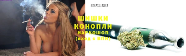 сатива Арсеньев