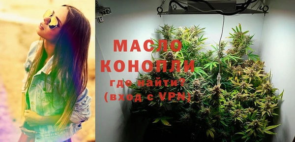 сатива Аркадак