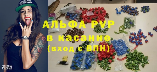 сатива Аркадак