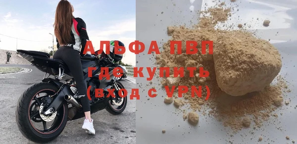 сатива Аркадак