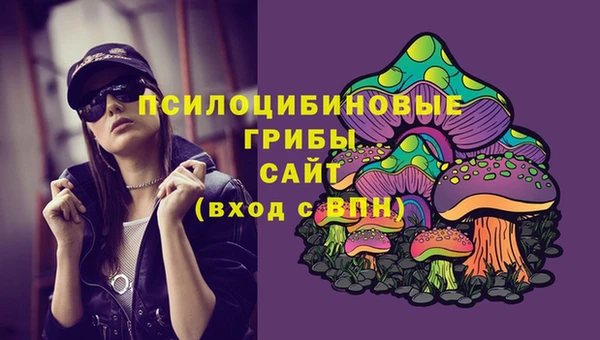 сатива Арсеньев