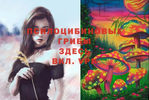 сатива Арсеньев