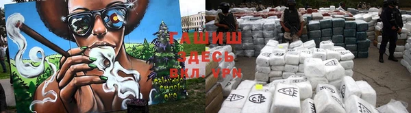 сатива Аркадак