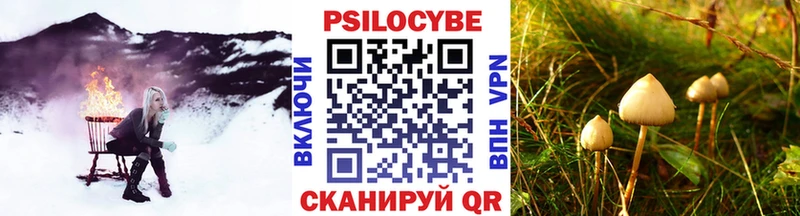Псилоцибиновые грибы GOLDEN TEACHER  где найти наркотики  Сердобск 